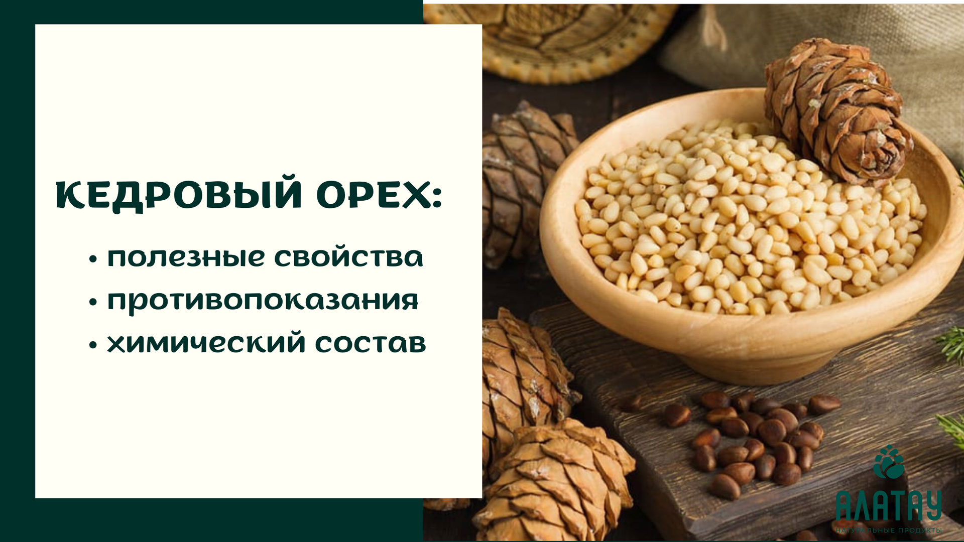 Кедровый орех: полезные свойства, противопоказания и химический состав Кедровый орех: полезные свойства, противопоказания и химический состав